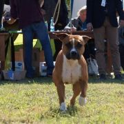 ZINNAMONN SPICE S OSTROVA SHATCILINSKOGO