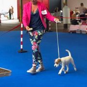 Demi Moore Mazurski Brzeg FCI