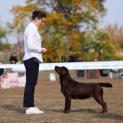 Monika Piece Of Soul