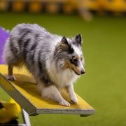 Brita Iz Piterskikh Volkov