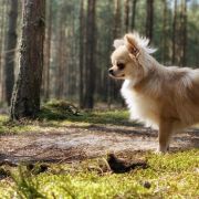 Matylda Mała Nadzieja