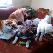 KASUMI Przystań Akity