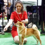 EKATO KADZUKEMONO DOREMI