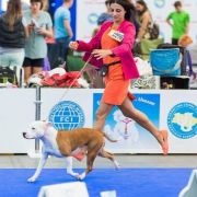 Her Beauty Overthrew You Via Fortuna