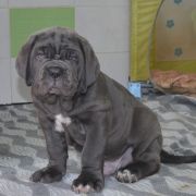 буква помета В