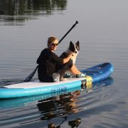 DAKOTA Taun Forest FCI