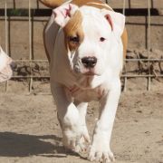 I’D DO ANYTHING FOR LOVE z Wiślanego Portu