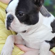 ABSOLUTELY CHARMING CELEBRATIONS