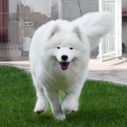 Klajokliu Suo TOUCH OF PINK