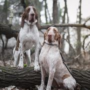 Eva Mon Tresor d'Amour