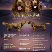 LADDIE Alessie Angels