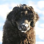 Special Vero ENDLESS SUMMER