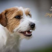 Attractive Afrodyta Magor