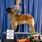 AMBER VITKENNEL ANANDA DEVI