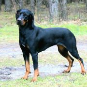 JUTRZENKA FEEK Odszukać Wiatr