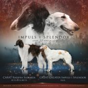 JJ JOYFUL Litter Impuls i Splendor