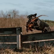 FTW Blackthorn Ultimate Copy