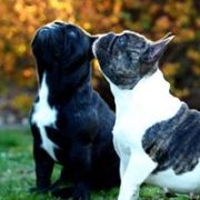 Kalispera Cortona Logones S.N.