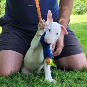 KALIBER Hexeside FCI 