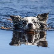 HIDE AND SEEK Mystique Regni