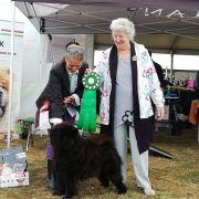 MOSES MISHKI TOPTISHKI