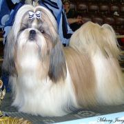 MEKONG JIANG TUFEISARK