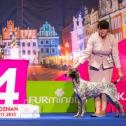 Alba od Zamku Barona Besse