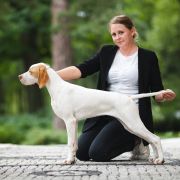 Mypoint's NIGHT DESERT