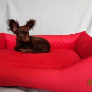 NANOCZĄSTECZKA Sfora spod Tatr