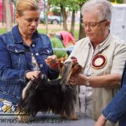 OLYMPUS ANGEL'S LIGHT