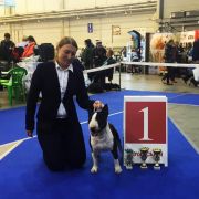 MOOLTI TIME TO GO FOR VICTORY