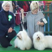 CLAUDETTE Cobegarden (FCI)