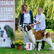 Adelka Dar Świętego Bernarda (FCI)