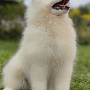 APEROL SPRITZ Monastery of Alias 