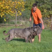 кани античи дель мондо мачедоне