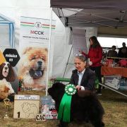 MOSES MISHKI TOPTISHKI