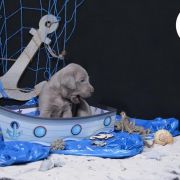 Batti Cuore PRIMO AMORE