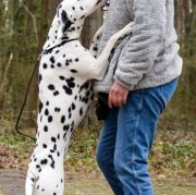 Qybash aus dem Haus Punctum L.U.A (N/N)