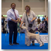 Lulineska ARMSTRONG THE MOON BOY