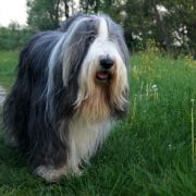 EMPREINTE de Chester