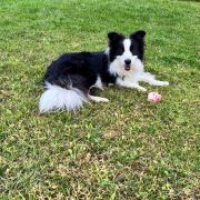 Anidamara FOLLOW TOGETHER 