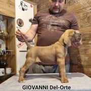 GIOVANNI