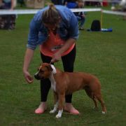 ZINNAMONN SPICE S OSTROVA SHATCILINSKOGO