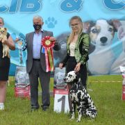 Lacrima Christi Cockta