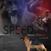SPEED Mavic Poland
