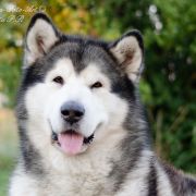 Inno del Lago degli Orsi