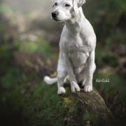 CHIARA z Gorajskiego Grodu