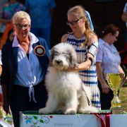 DREAM OF PORTHOS Collis Amores 