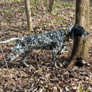 SIROCCO DU RUISSEAU DE MONTBRUN