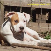 I’D DO ANYTHING FOR LOVE z Wiślanego Portu